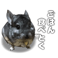 [LINEスタンプ] ピッピさん.
