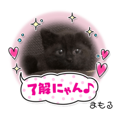 [LINEスタンプ] くろねこまもりん
