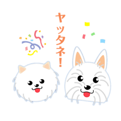 [LINEスタンプ] 白犬のポム＆シルク1
