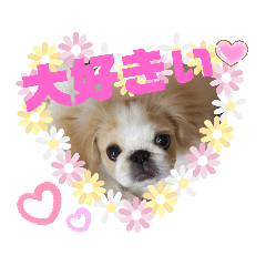 [LINEスタンプ] ラブペキニーズ2