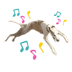 [LINEスタンプ] 我が家のウィペット