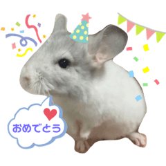 [LINEスタンプ] 3びきのこねずみ