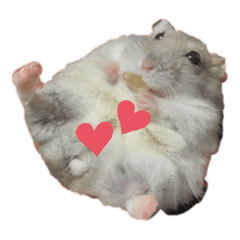 [LINEスタンプ] やまさんすたんぷ