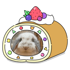 [LINEスタンプ] ウチの白うさぎ