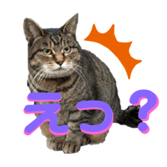 [LINEスタンプ] あずきとミルク