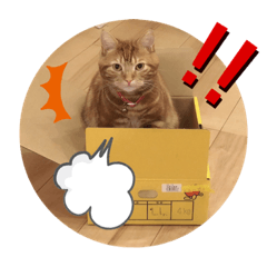 [LINEスタンプ] ツナルバーグ