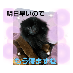 [LINEスタンプ] akisstamp