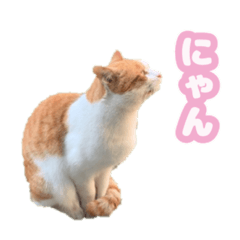 [LINEスタンプ] 七草のきもち