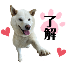 [LINEスタンプ] 雪美スタンプ2個目♡