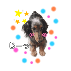[LINEスタンプ] メルのゆるい日常スタンプ2