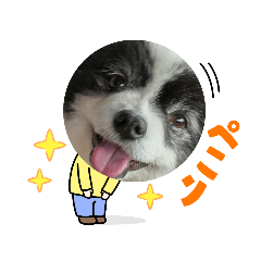 [LINEスタンプ] 陸くん＆空くん一家と友達2