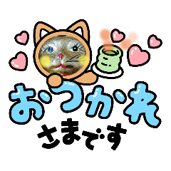[LINEスタンプ] 動物たち1