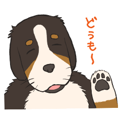 [LINEスタンプ] おっとりバーニーズ らんさん