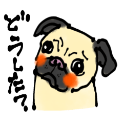 [LINEスタンプ] 犬シリーズ第2弾・ゆるゆるパグスタンプ