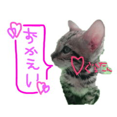 [LINEスタンプ] グラタン編