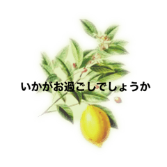 [LINEスタンプ] 果物と優しい大人のお見舞い言葉1