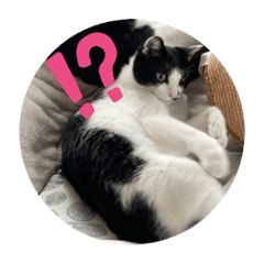 [LINEスタンプ] イエちゃんはね〜