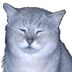 [LINEスタンプ] 須原の猫：アルちゃんのスタンプ