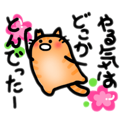 [LINEスタンプ] もっともっと！くろさんとまいけるさん