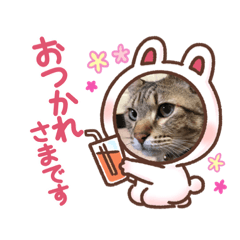 [LINEスタンプ] まろんちゃんとくるみちゃんと琥珀2