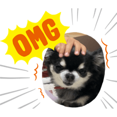 [LINEスタンプ] 愛しのくぅちゃん