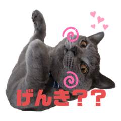 [LINEスタンプ] ライズスタンプ①
