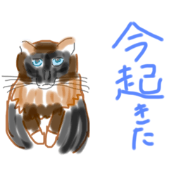 [LINEスタンプ] ほっこりゆるゆる日常スタンプ