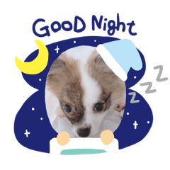 [LINEスタンプ] うちの子はゆず！！