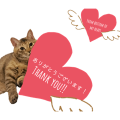 [LINEスタンプ] ねこのぽぽちゃん【バレエすたんぷ】