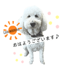 [LINEスタンプ] Fあにまるず