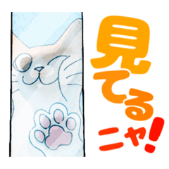 [LINEスタンプ] 保護猫モカさんの日常