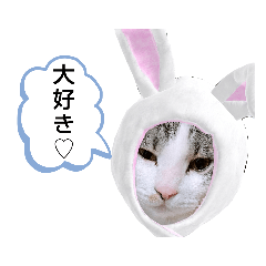 [LINEスタンプ] たいがちゃん❤︎(2)