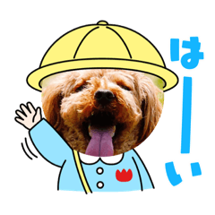[LINEスタンプ] ダックス＆プードル兄弟
