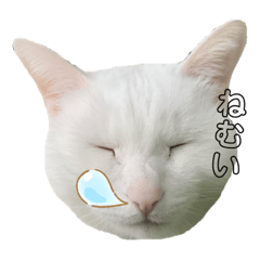 [LINEスタンプ] わたしのそらちゃん