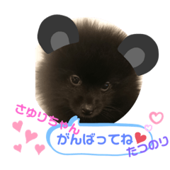 [LINEスタンプ] たつのり②