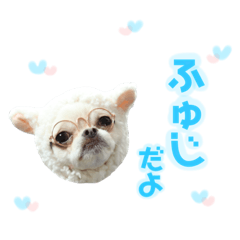 [LINEスタンプ] チワワのフュジ 2