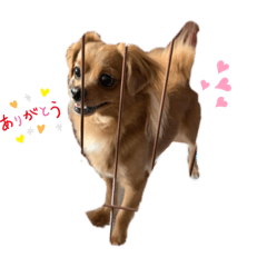 [LINEスタンプ] reo123