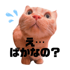 [LINEスタンプ] くうちゃあちび