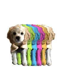 [LINEスタンプ] 愛犬ソフィアしか勝たんスタンプ