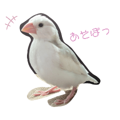 [LINEスタンプ] 文鳥とパンダの日常
