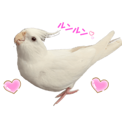 [LINEスタンプ] ☆ムーコ☆スタンプ☆