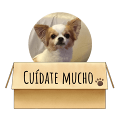[LINEスタンプ] かわいい動物のスペイン語あいさつスタンプ