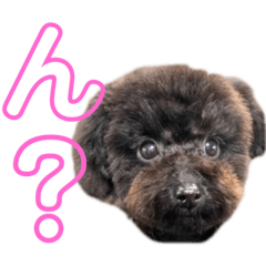 [LINEスタンプ] もずスタンプ♡