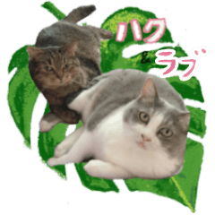 [LINEスタンプ] ラブとハク