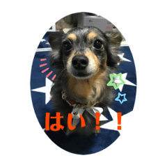 [LINEスタンプ] マルスくんの敬語スタンプ