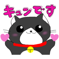 [LINEスタンプ] 毎日使えるでっかい猫スタンプ
