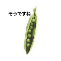 [LINEスタンプ] 野菜と大人のお仕事言葉1