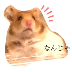 [LINEスタンプ] ハムみーちゃんスタンプ2