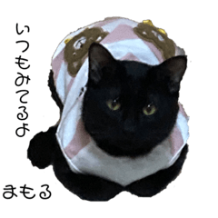 [LINEスタンプ] くろねこまもりん2