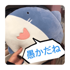 [LINEスタンプ] 煽るよ！サメちゃん！